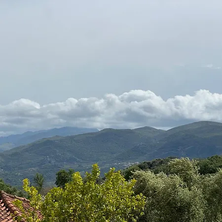 πυργοσπιτο χαντζακου *